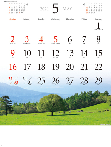 NO.264(SP-71) 旅窓
