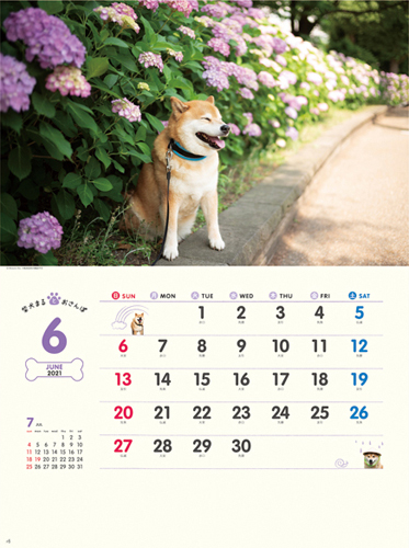 柴犬まるとおさんぽカレンダー