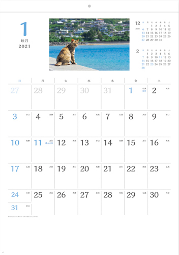 猫さんぽ