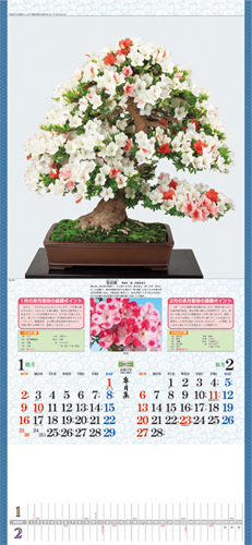 NO.661(TD-784) 皐月集