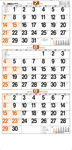NO.542（NA-118）　スケジュールカレンダー